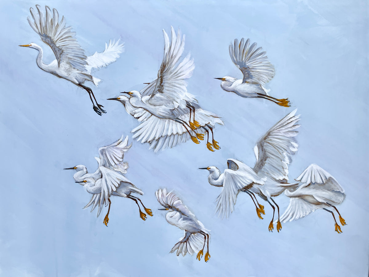 THE GREAT EGRET image 1