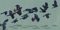 Shadows of the Beautiful Future - Framed image 0