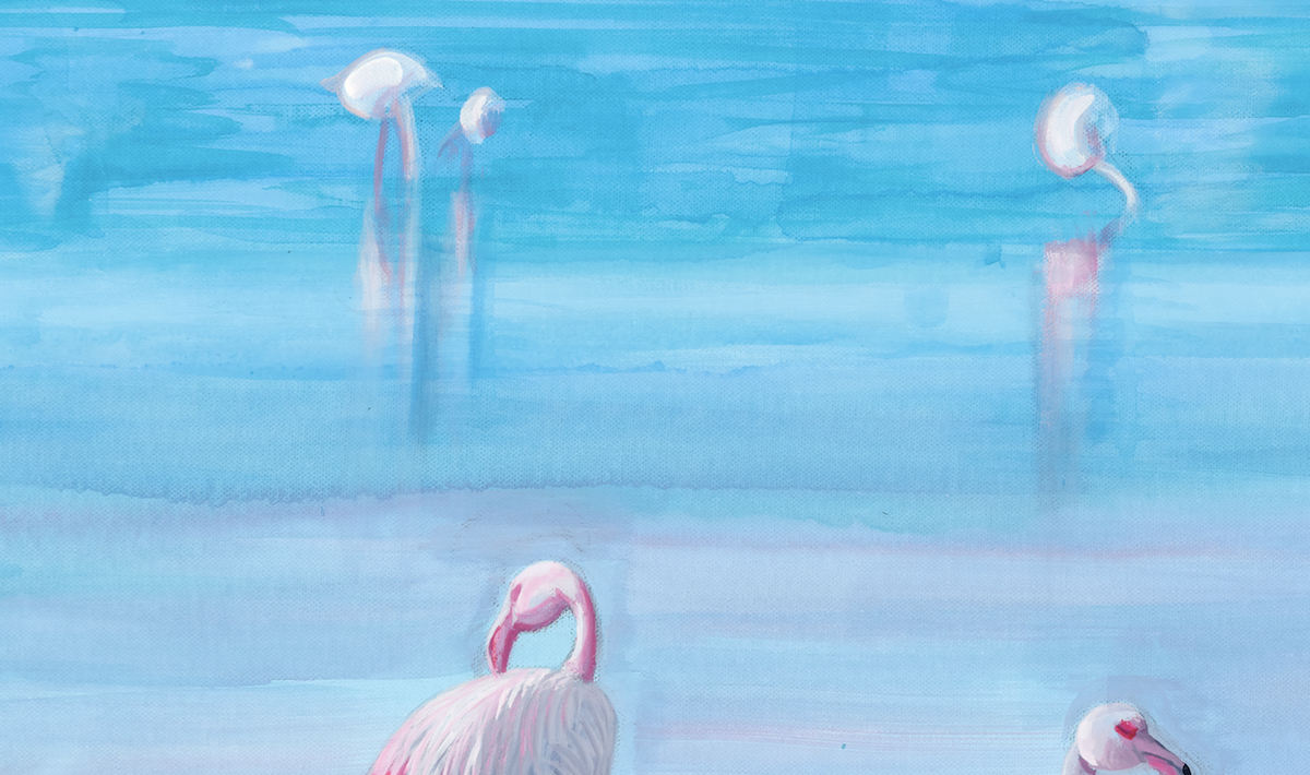 In search of pink image 6