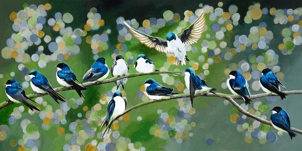 Swallows image 2