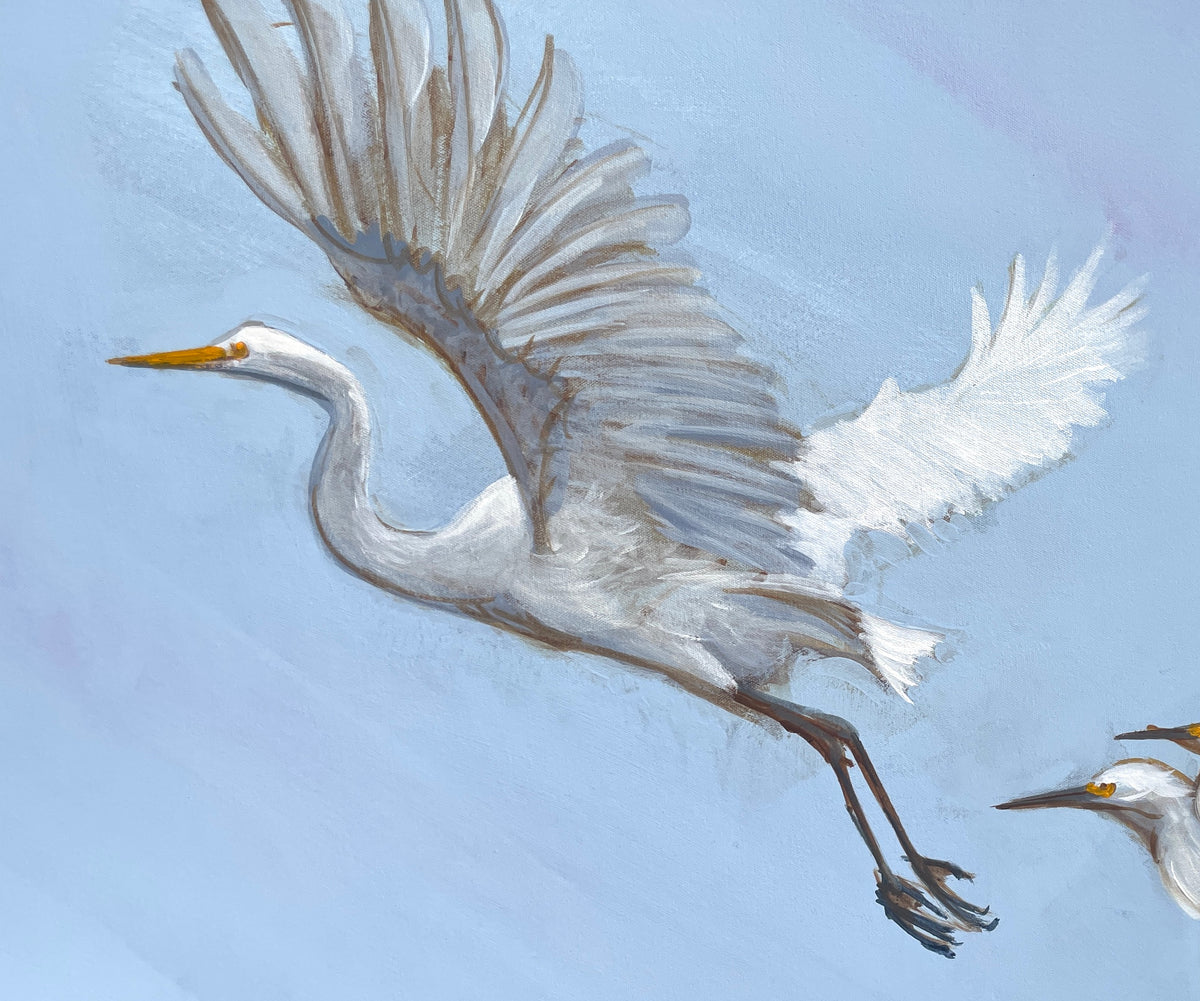 THE GREAT EGRET image 3
