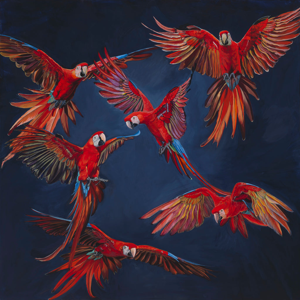 Scarlet Milonga image 1