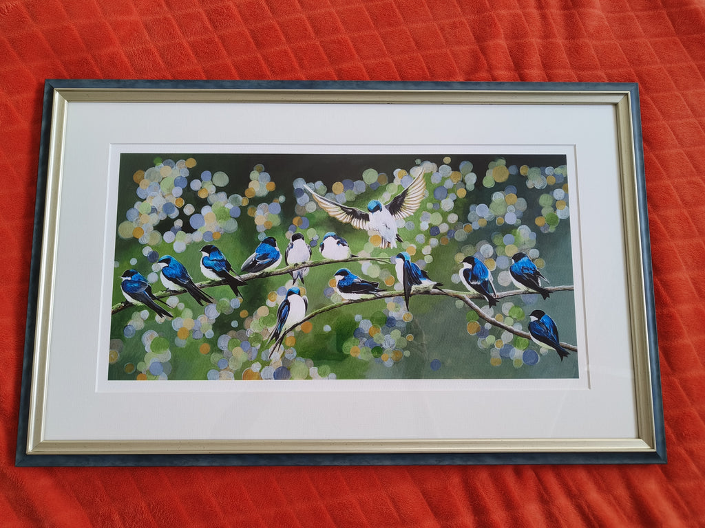 Swallows image 3