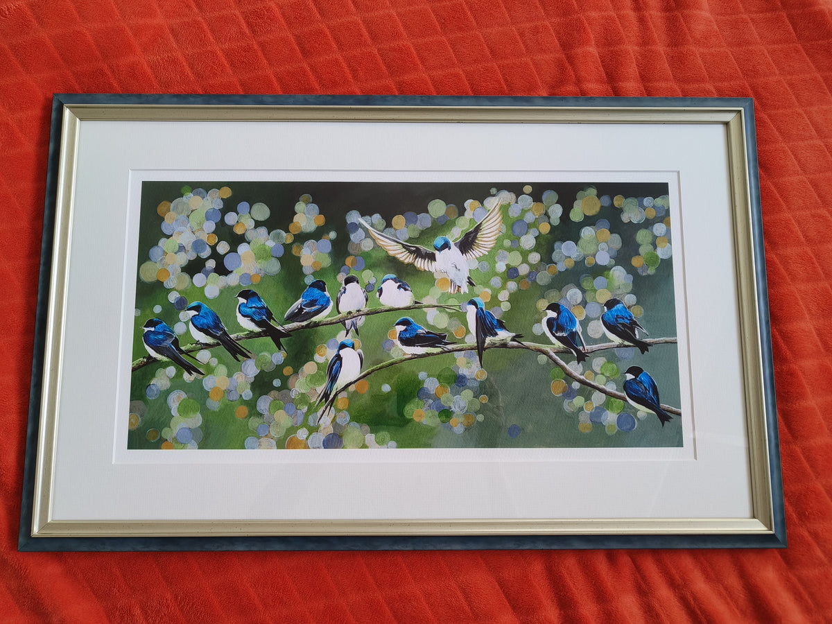 Swallows image 3