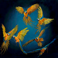 A Moment of Awakening - Framed image 0