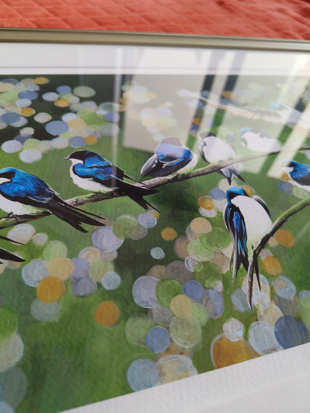 Swallows image 8
