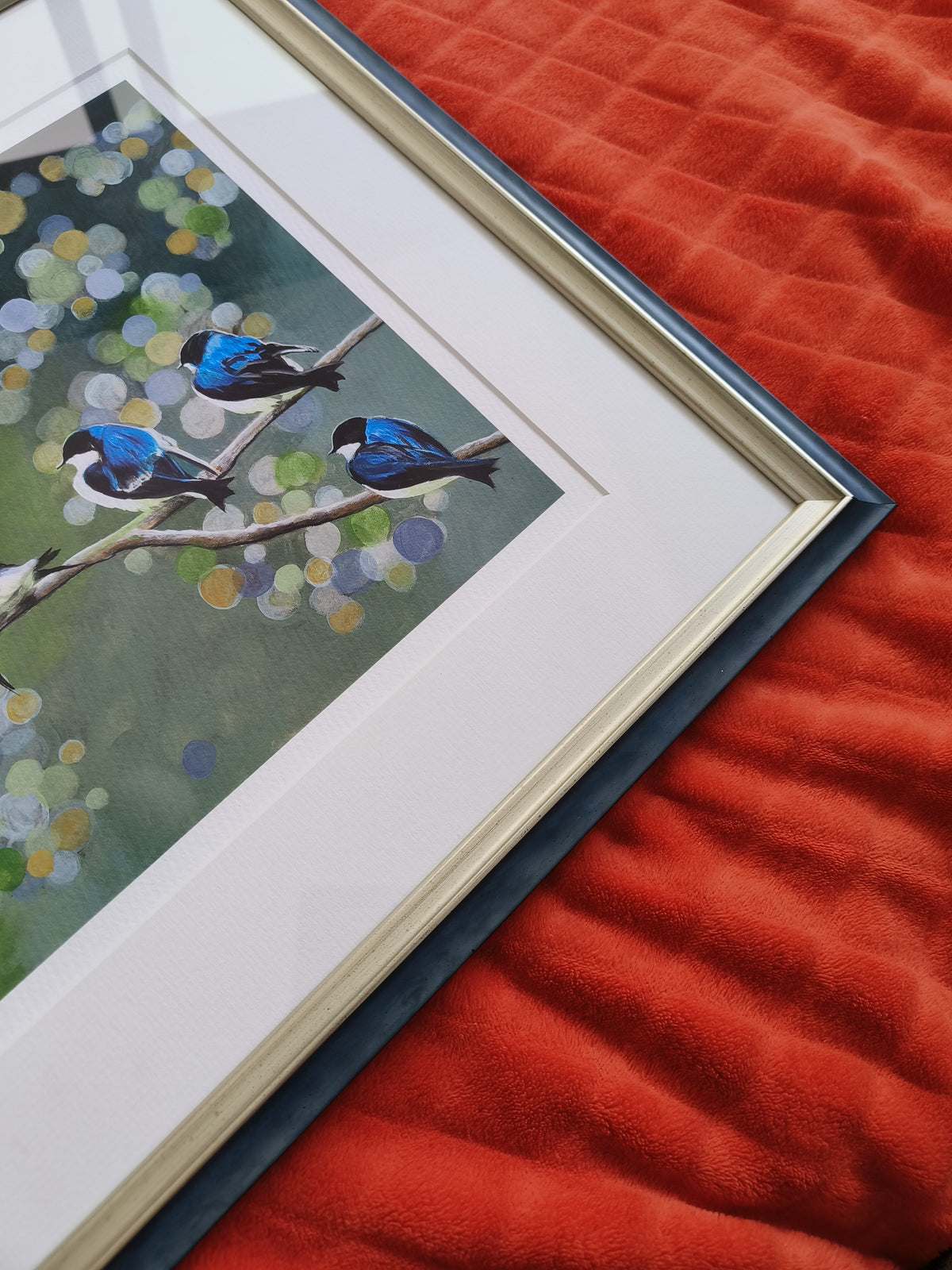 Swallows image 4