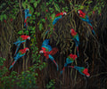 Rainforest Retreat FRAMED image 0
