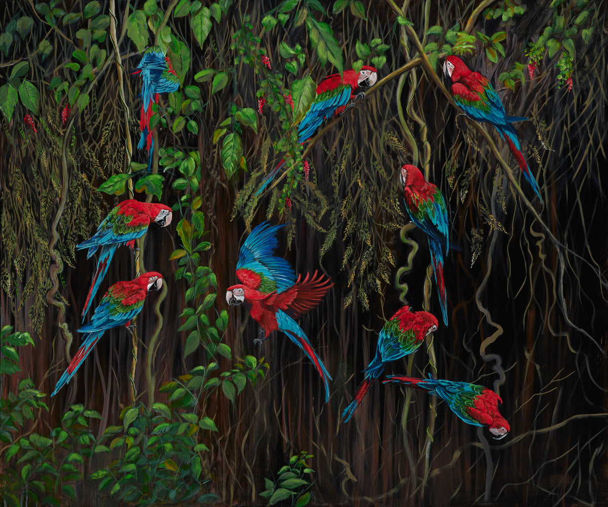 Rainforest Retreat FRAMED image 0