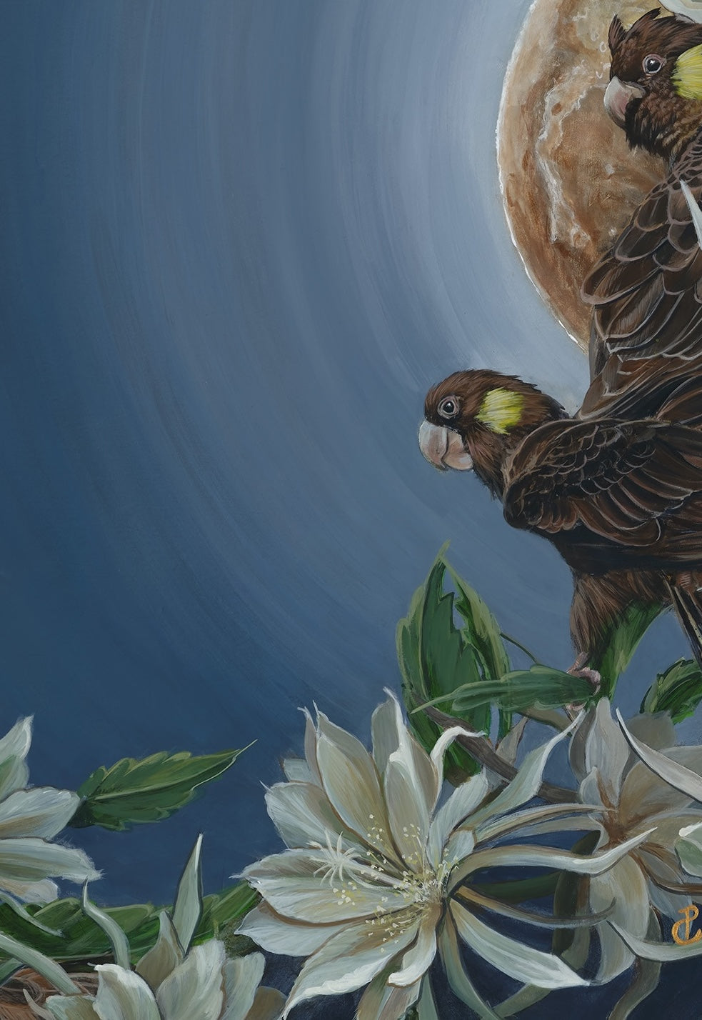 Liminal image 9