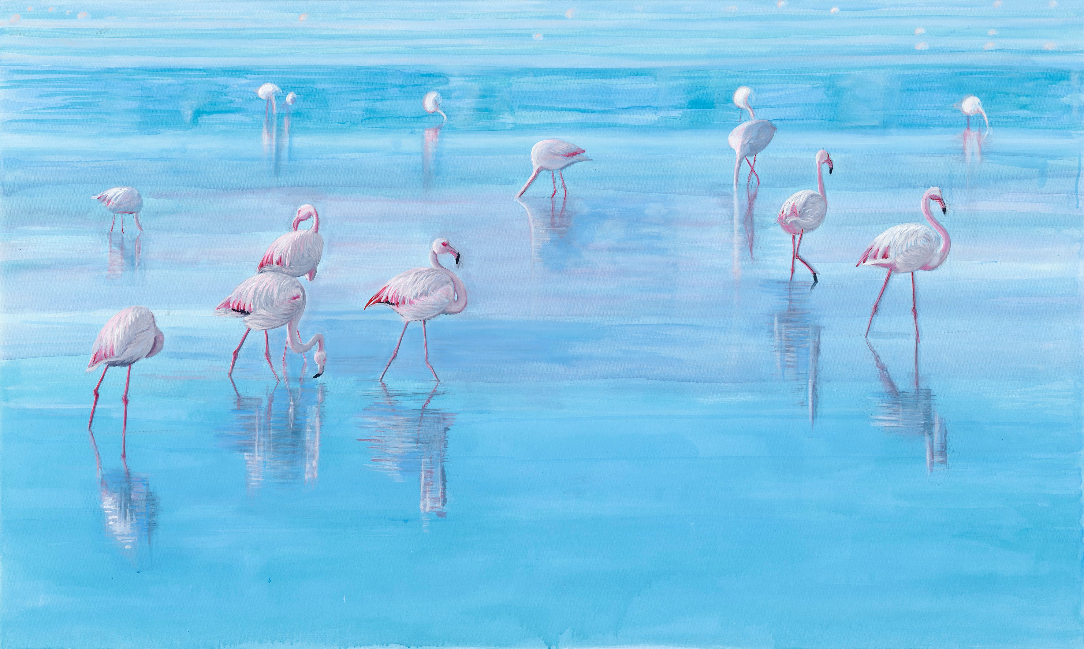 In search of pink image 1