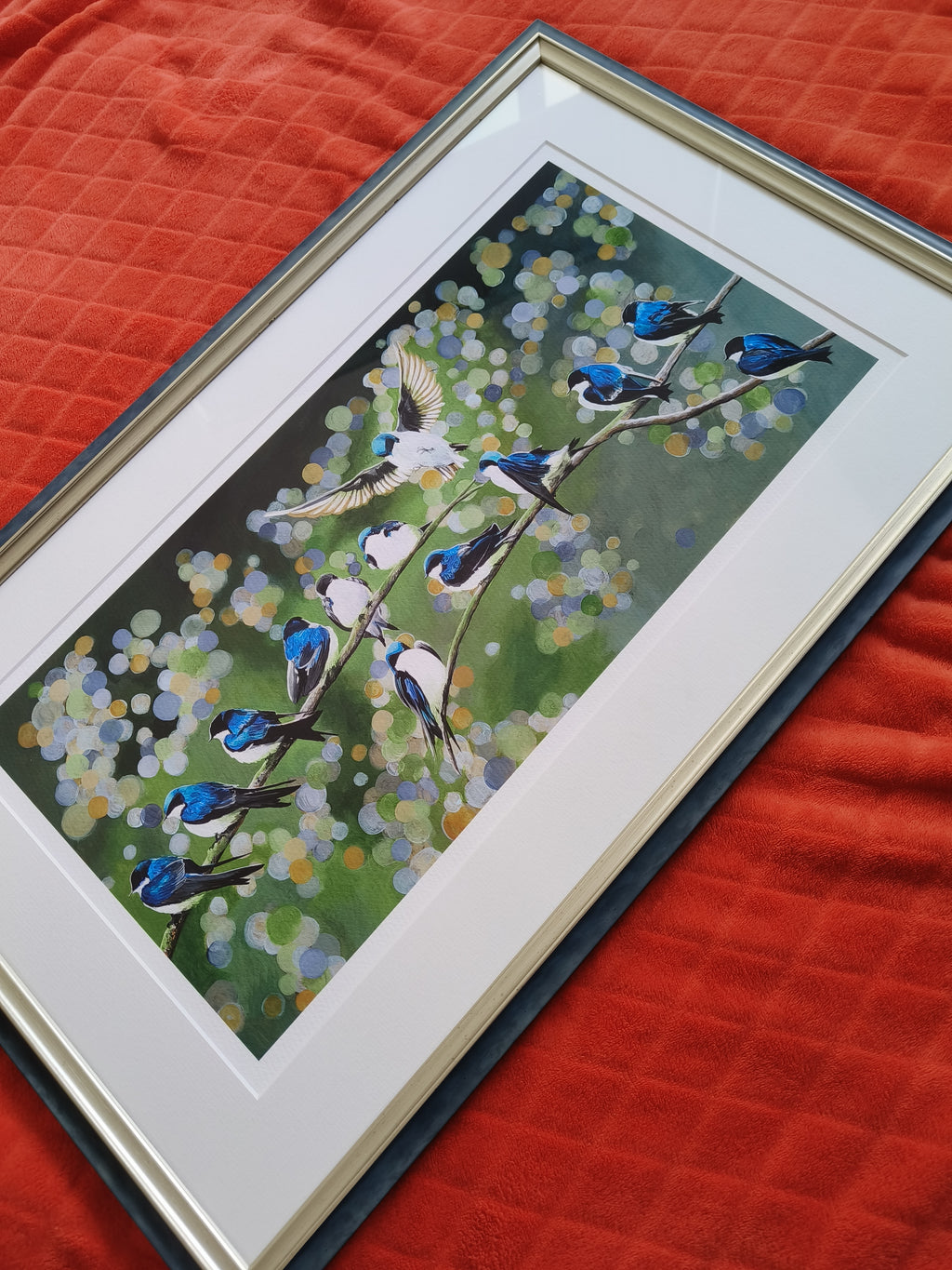 Swallows image 5