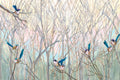 Love. Light. Wren. image 5