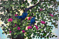Beautifully Resilient - Framed image 0