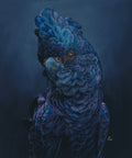 Altheus image 0