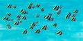 One for Gili image 0