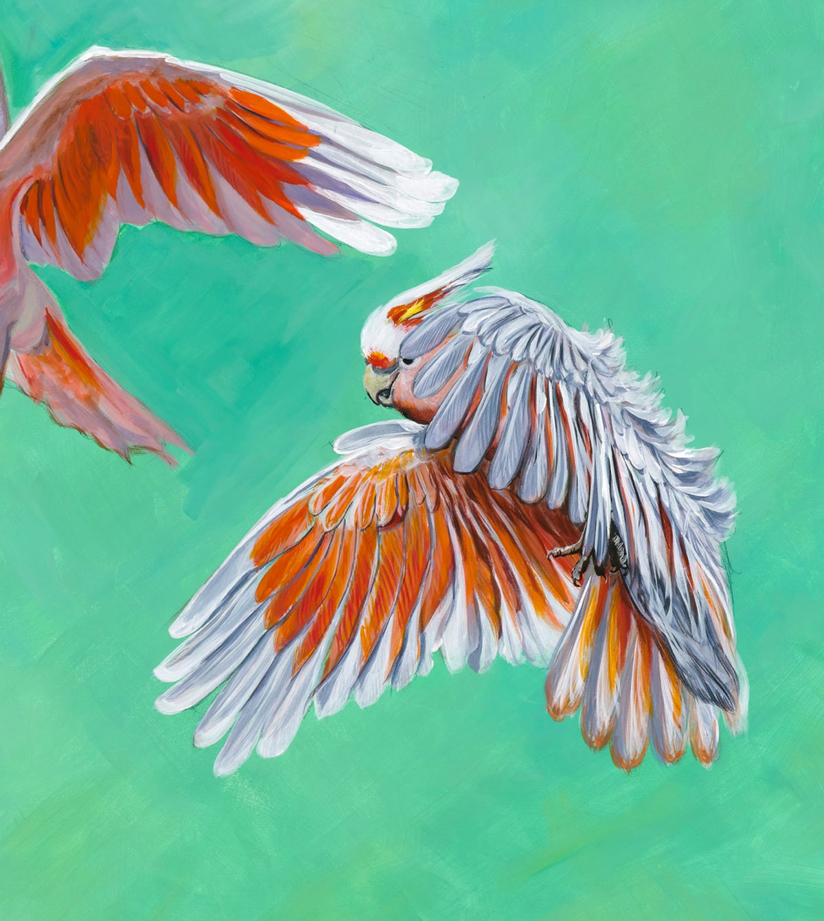 Outback Meetup image 6