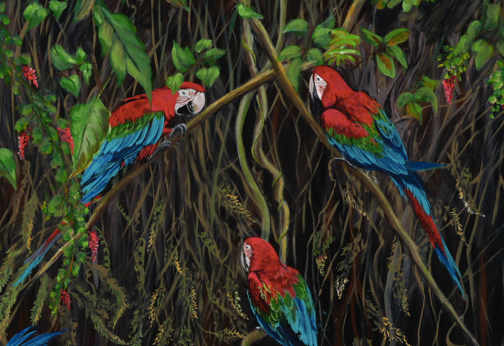 Rainforest Retreat FRAMED image 3