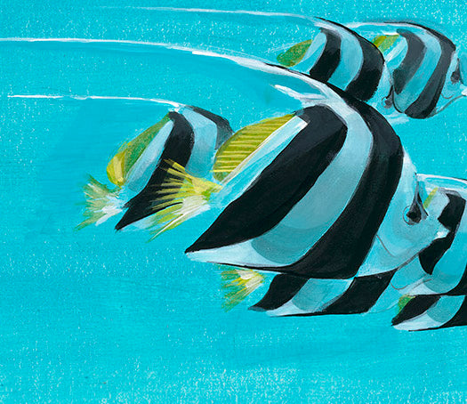 One for Gili image 2