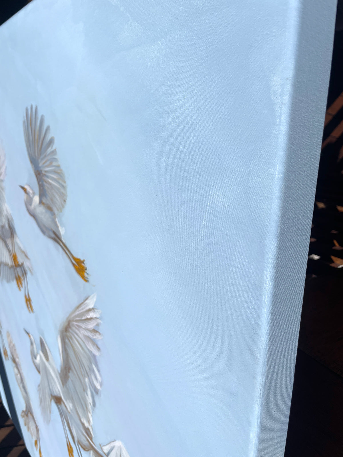 THE GREAT EGRET image 5