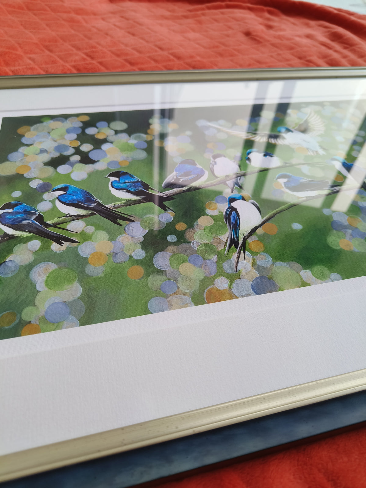Swallows image 7
