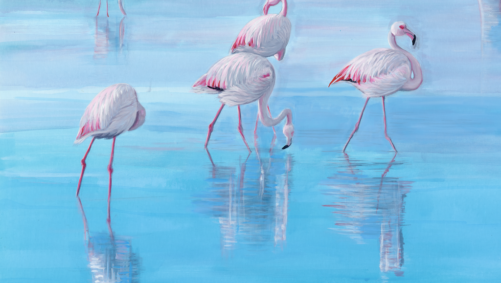In search of pink image 4
