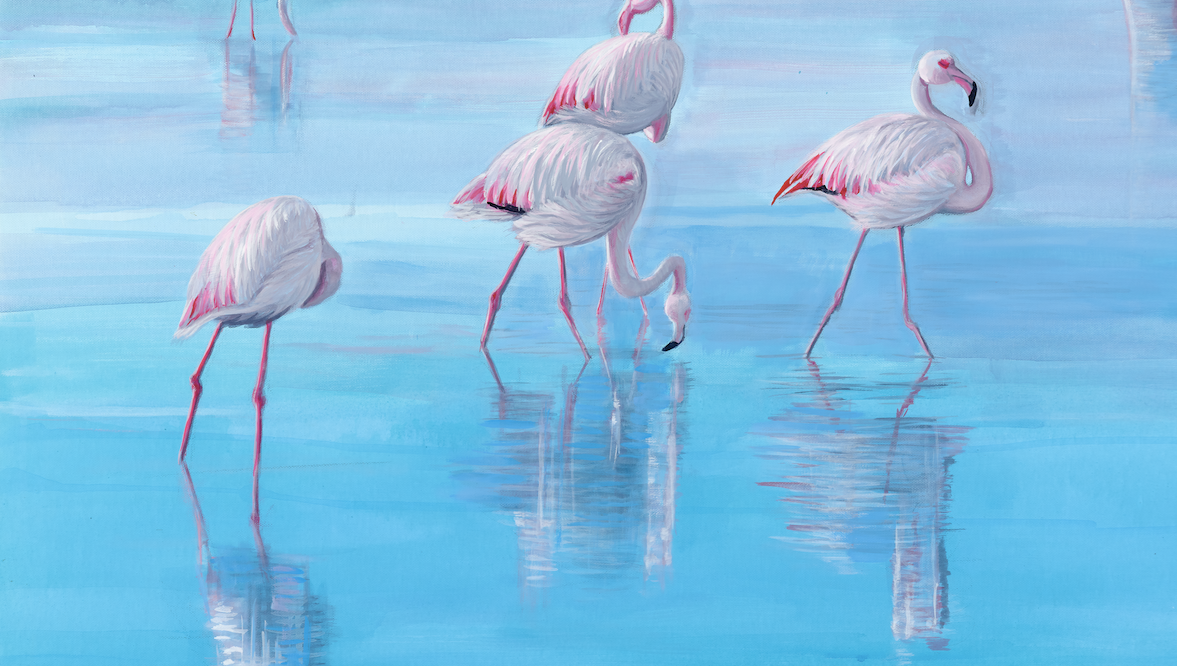 In search of pink image 4