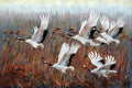 Against the Wind - FRAMED image 0