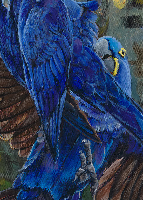 Regal Bond image 6